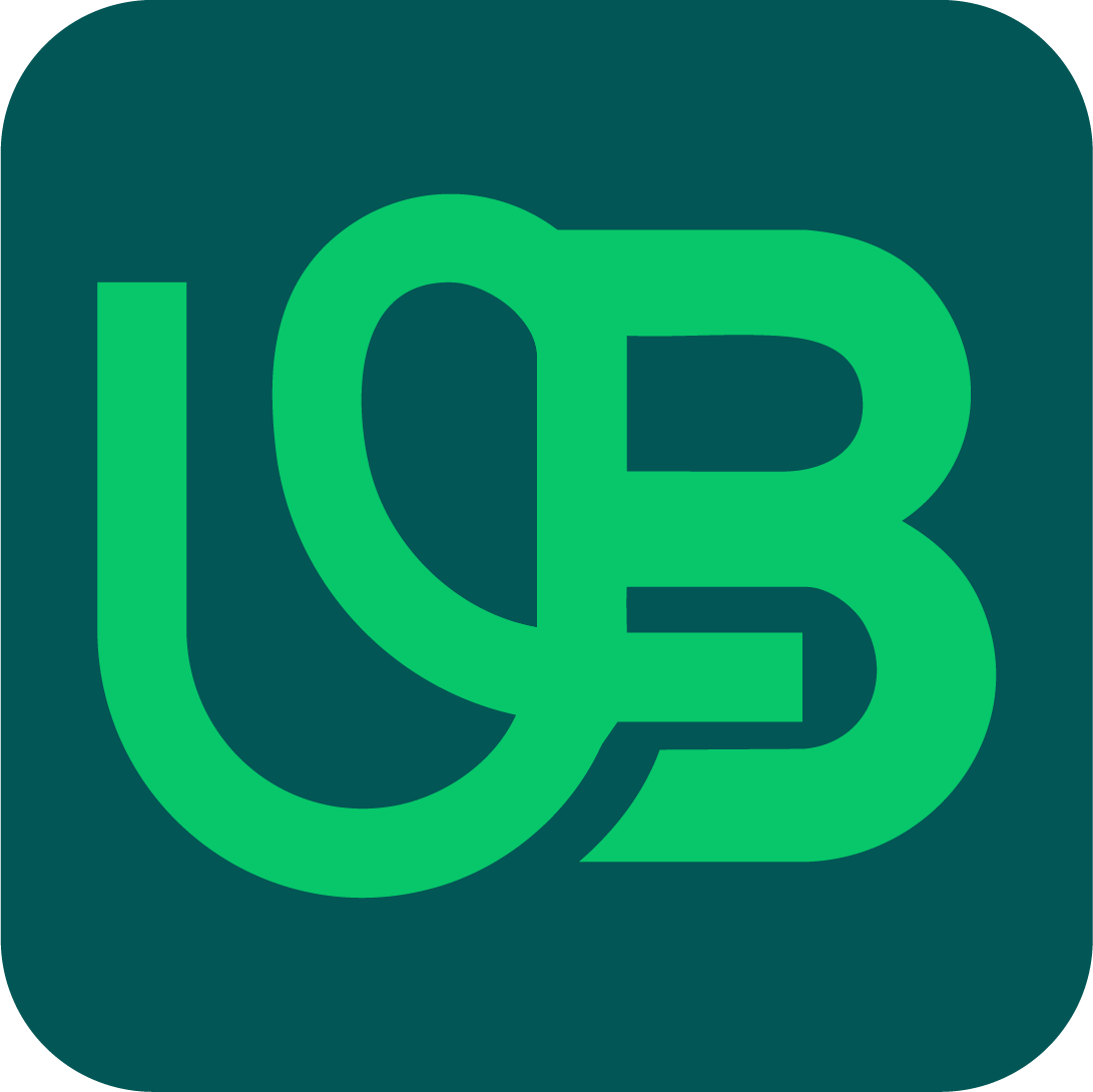 Usama Bajwa SEO Agency Logo