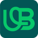 Usama Bajwa SEO Expert